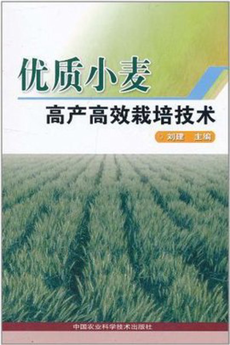 别墅装修：打造梦想中的家